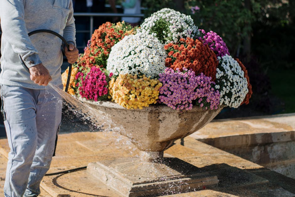 A gardener waters a vibrant arrangement of multicolored flowers in a stone planter on a sunny day.